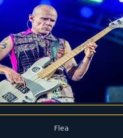 Flea